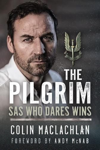 Cover image for The Pilgrim