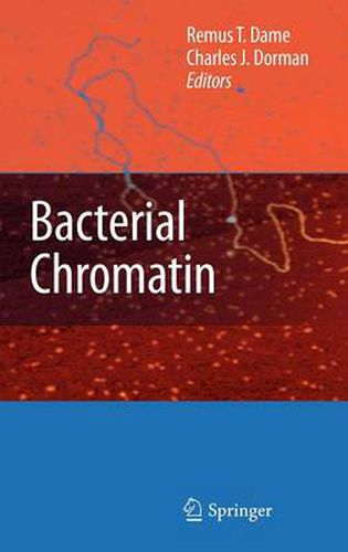 Cover image for Bacterial Chromatin