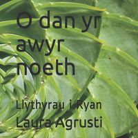 Cover image for O dan yr awyr noeth: Llythyrau i Ryan