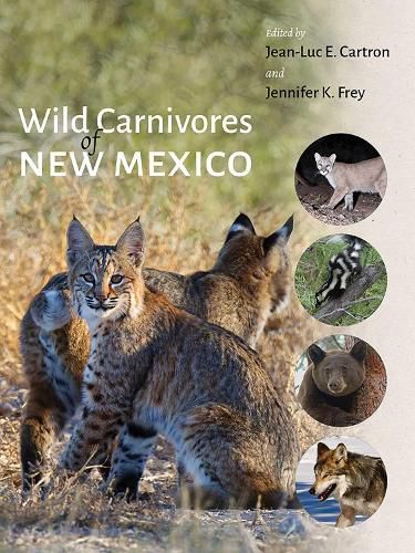 Cover image for Wild Carnivores of New Mexico