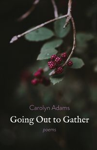 Cover image for Going Out to Gather