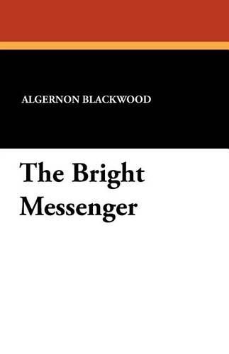 Cover image for The Bright Messenger