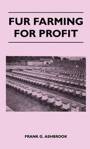 Cover image for Fur Farming For Profit