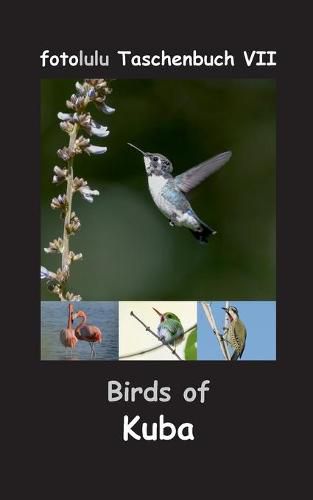 Cover image for Birds of Kuba