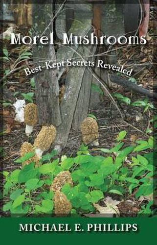 Cover image for Morel Mushrooms: Best-Kept Secrets Revealed