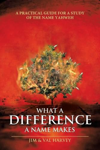 Cover image for What a Difference a Name Makes: A Practical Guide for a Study of the Name Yahweh