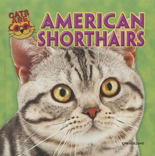 Cover image for American Shorthairs