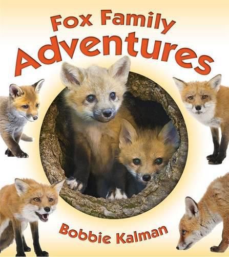 Cover image for Fox Family Adventures