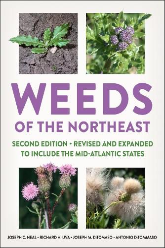 Cover image for Weeds of the Northeast