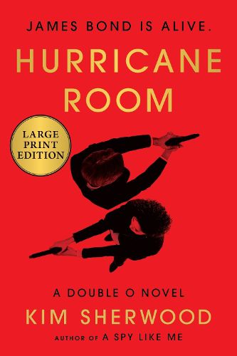 Cover image for Hurricane Room