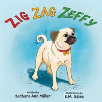 Cover image for Zig Zag Zeffy