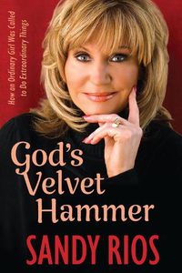 Cover image for God's Velvet Hammer