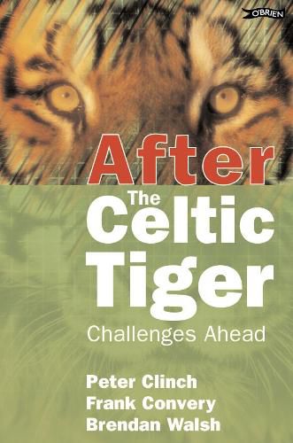 After the Celtic Tiger: Challenges Ahead