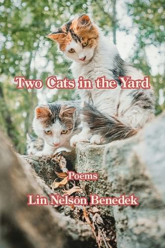 Cover image for Two Cats in the Yard