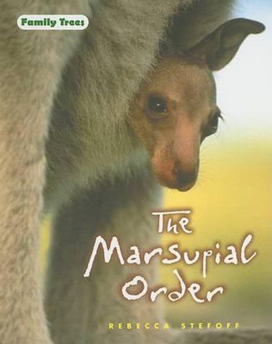 Cover image for The Marsupial Order