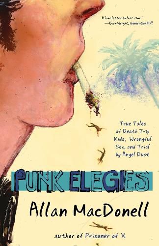 Cover image for Punk Elegies: True Tales of Death Trip Kids, Wrongful Sex, and Trial by Angel Dust