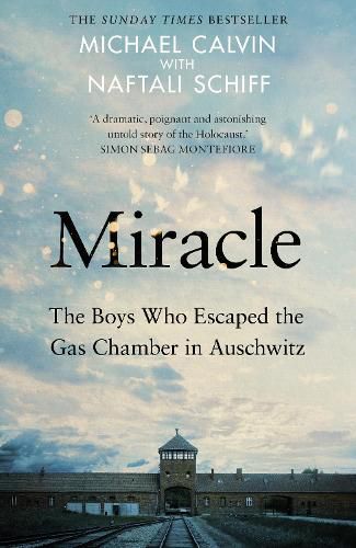 Cover image for Miracle