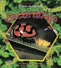 Cover image for El Ciclo de Vida del Escarabajo