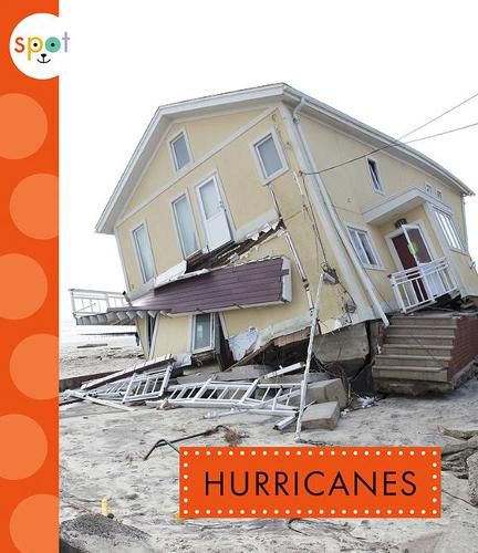 Cover image for Hurricanes