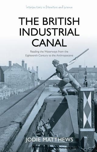 Cover image for The British Industrial Canal