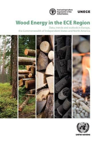 Wood energy in the ECE region: data, trends and outlook in Europe, the commonwealth of independent states and North America