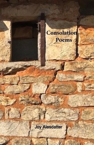 Cover image for Consolation Poems