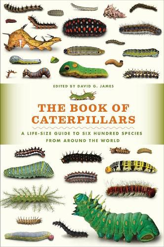 Cover image for The Book of Caterpillars: A Life-Size Guide to Six Hundred Species from Around the World