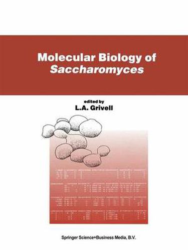 Cover image for Molecular Biology of Saccharomyces