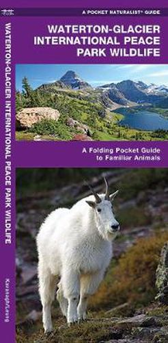 Cover image for Waterton-Glacier International Peace Park Wildlife: A Folding Pocket Guide to Familiar Species