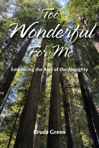 Cover image for Too Wonderful for Me