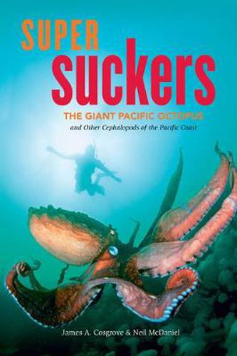 Cover image for Super Suckers: The Giant Pacific Octopus and Other Cephalopods of the Pacific Coast
