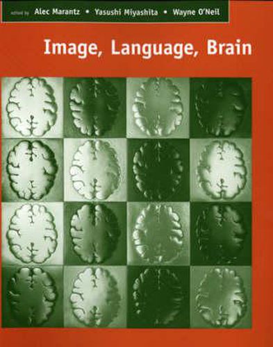 Cover image for Image, Language, Brain: Papers from the First Mind Articulation Project Symposium