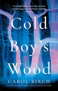 Cover image for Cold Boy's Wood