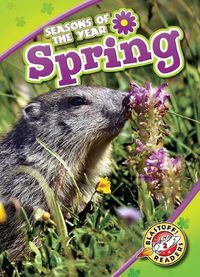 Cover image for Spring