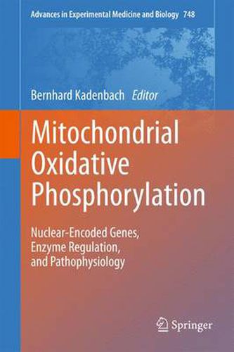 Cover image for Mitochondrial Oxidative Phosphorylation: Nuclear-Encoded Genes, Enzyme Regulation, and Pathophysiology