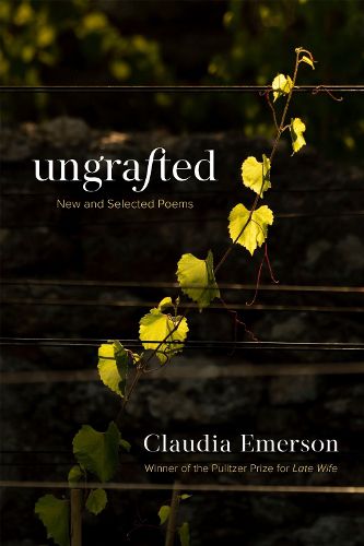 Cover image for Ungrafted