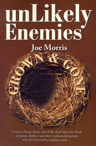 Cover image for Unlikely Enemies