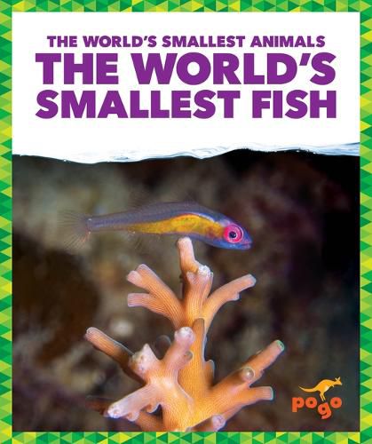 Cover image for The World's Smallest Fish