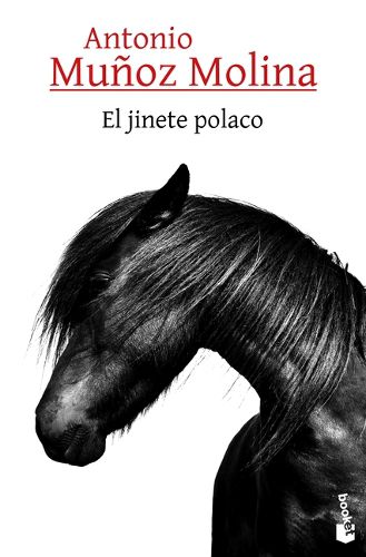 Cover image for El Jinete Polaco
