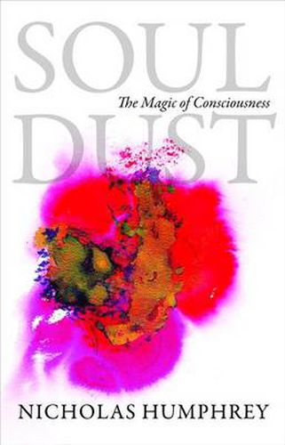 Cover image for Soul Dust: The Magic of Consciousness