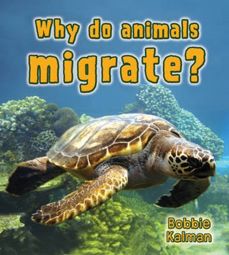 Cover image for What Do Animals Migrate