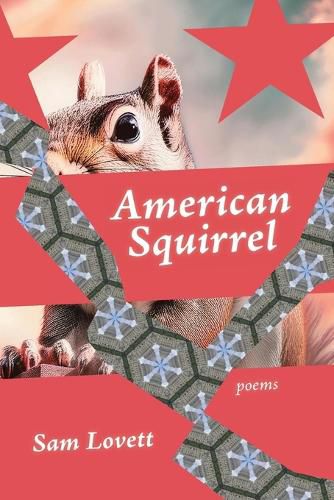 Cover image for American Squirrel