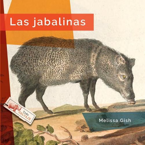 Cover image for Las Jabalinas