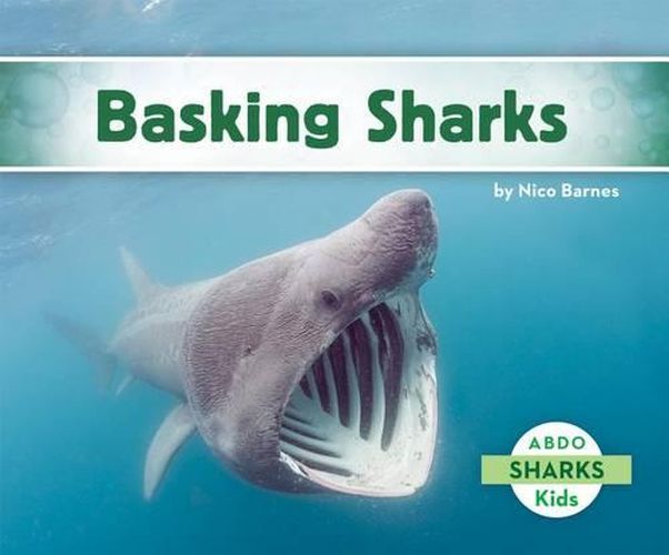 Cover image for Basking Sharks