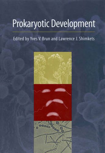 Cover image for Prokaryotic Development