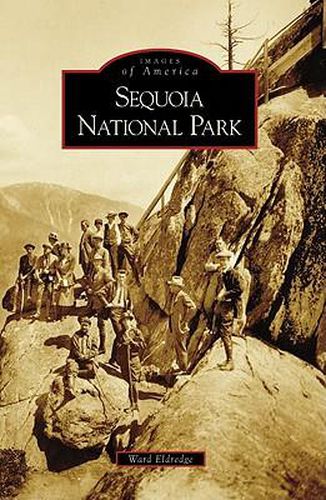 Cover image for Sequoia National Park