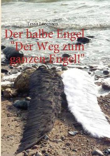 Cover image for Der halbe Engel Band 3 Der Weg zum ganzen Engel!: Der Weg zum ganzen Engel!