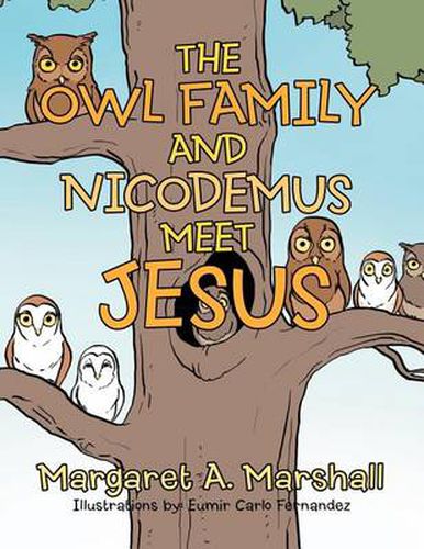 Cover image for The Owl Family and Nicodemus Meet Jesus