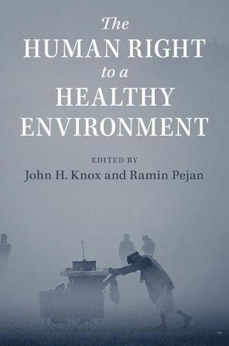 Cover image for The Human Right to a Healthy Environment