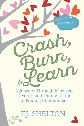 Cover image for Crash, Burn, and Learn